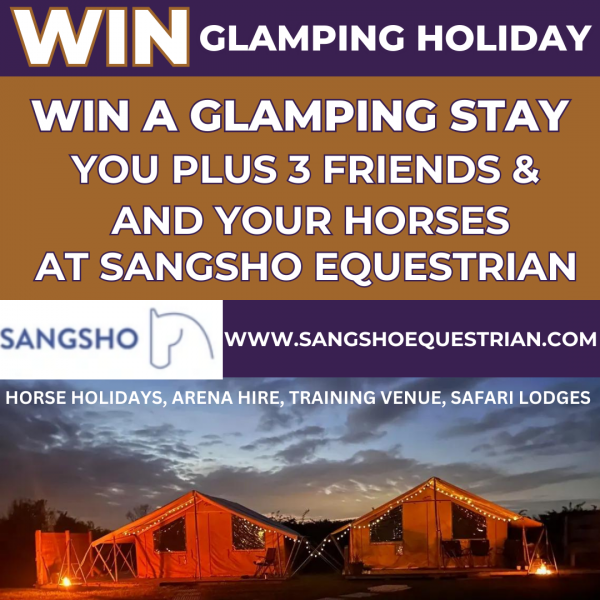 https://sangshoequestrian.com/