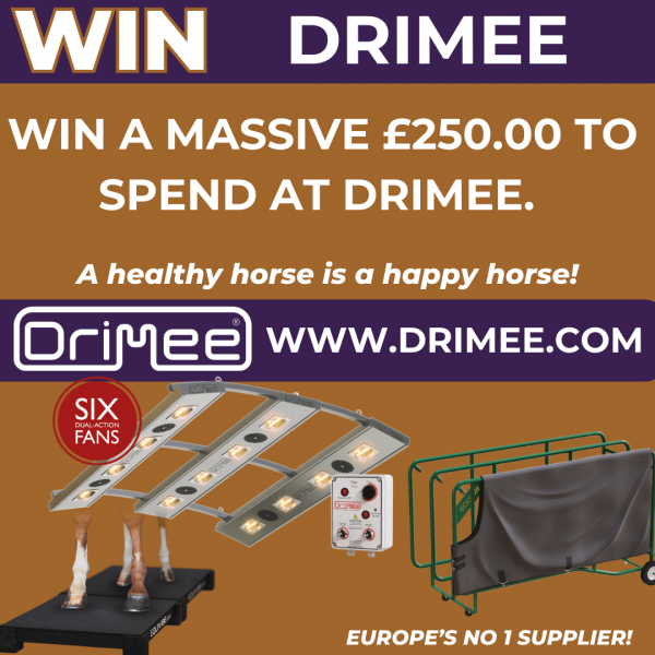 https://drimee.com/