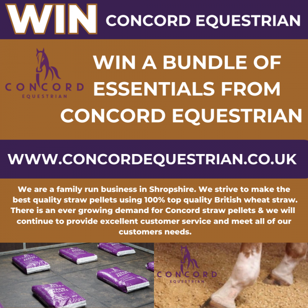 https://concordequestrian.co.uk/