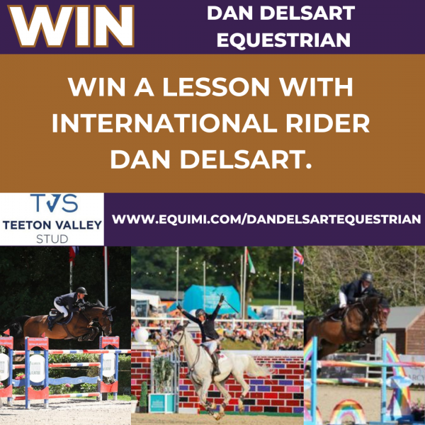 https://equimi.com/dandelsartequestrian