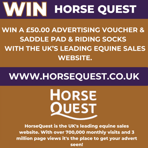 https://www.horsequest.co.uk/